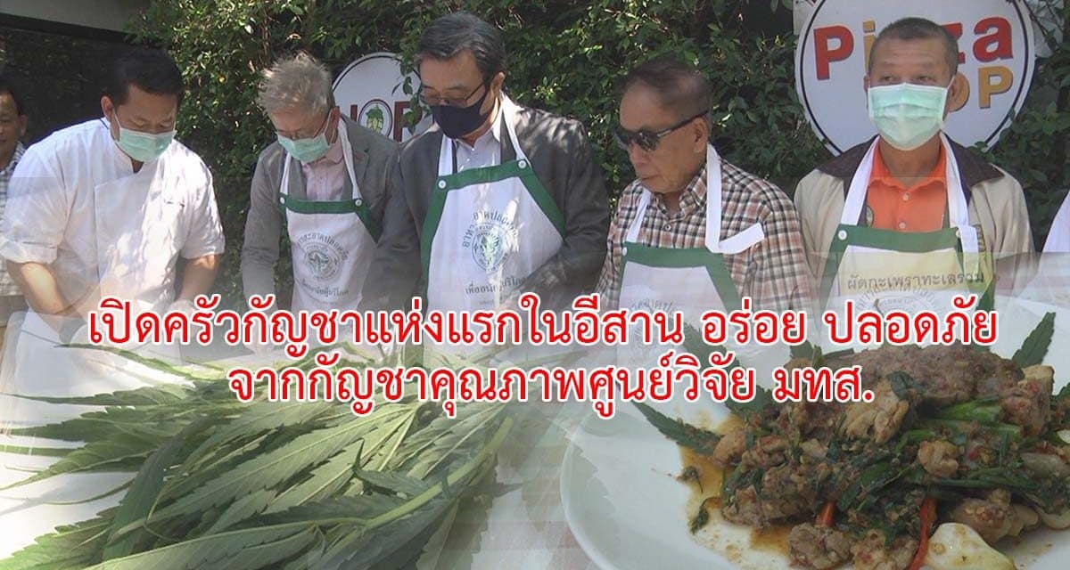 เปิดครัวกัญชา แห่งแรกในอีสาน อร่อย ปลอดภัย จากกัญชาคุณภาพศูนย์วิจัย มทส.