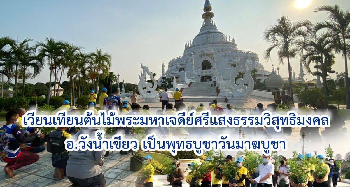 เวียนเทียนต้นไม้พระมหาเจดีย์ศรีแสงธรรมวิสุทธิมงคล อ.วังน้ำเขียว เป็นพุทธบูชาวันมาฆบูชา