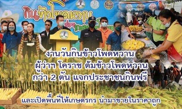 ผู้ว่าฯโคราช ต้มข้าวโพดหวานกว่า 2 ตัน แจกประชาชนกินฟรี และเปิดพื้นที่ให้เกษตรกรนำมาขายในราคาถูกกว่า 200 ตัน เพื่อช่วยเหลือเกษตรกรหลังประสบปัญหาข้าวโพดหวานล้นตลาด
