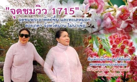 “จุดชมวิว 1715” จุดชมพระอาทิตย์ขึ้น และทะเลหมอก ดอยภูคา จังหวัดน่าน ไม่น่าเชื่อ ต้นเดือนมีนาคม จะได้สัมผัสทะเลหมอกแบบเย็นเยือก มีร้านค้ามันเผา ข้าวโพดเผา ไข่ปิ้ง…ฟินเวอร์