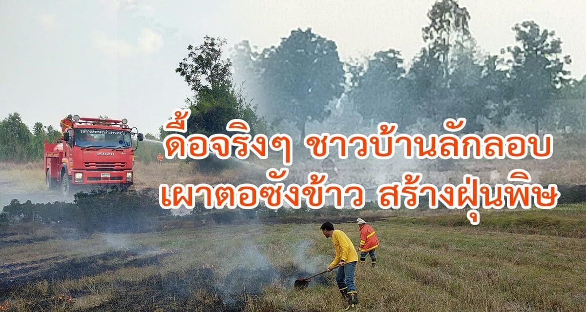 ดื้อจริงๆ ชาวบ้านยังคงลักลอบเผาตอซังข้าว ลามไหม้สร้างฝุ่นพิษ