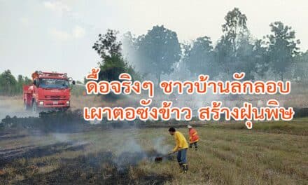 ดื้อจริงๆ ชาวบ้านยังคงลักลอบเผาตอซังข้าว ลามไหม้สร้างฝุ่นพิษ