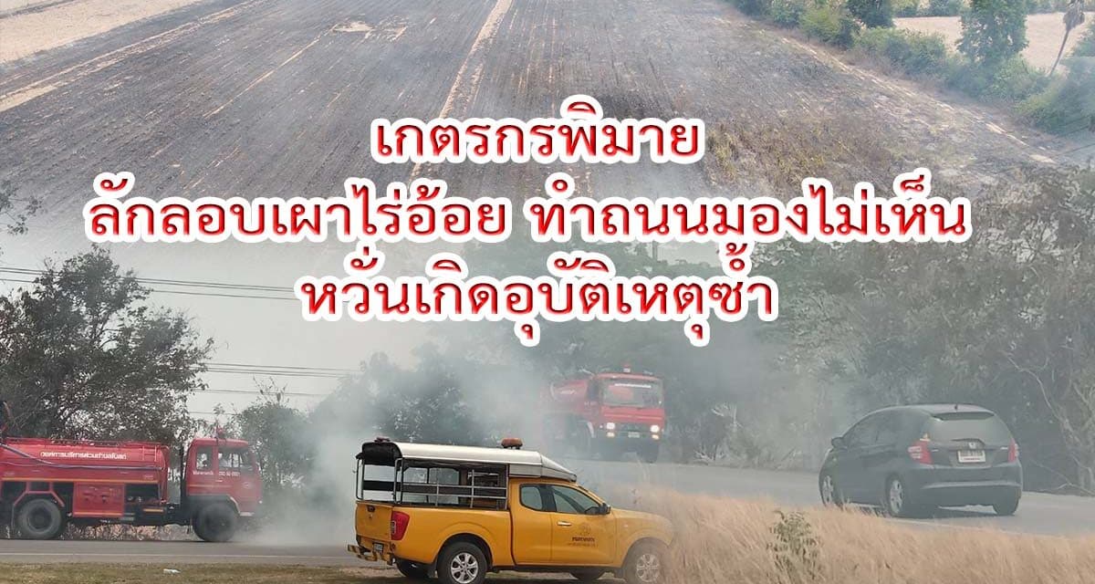 เกตรกรพิมาย ไม่สน  ยังลักลอบเผาไร่อ้อย ทำถนนมองไม่เห็น หวั่นเกิดอุบัติเหตุซ้ำ