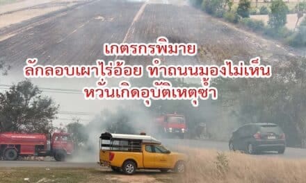 เกตรกรพิมาย ไม่สน  ยังลักลอบเผาไร่อ้อย ทำถนนมองไม่เห็น หวั่นเกิดอุบัติเหตุซ้ำ