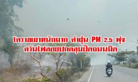 โคราชเผาหนักมาก ค่าฝุ่น PM2.5พุ่ง ควันไฟลอยปกคลุมปิดถนนมิด