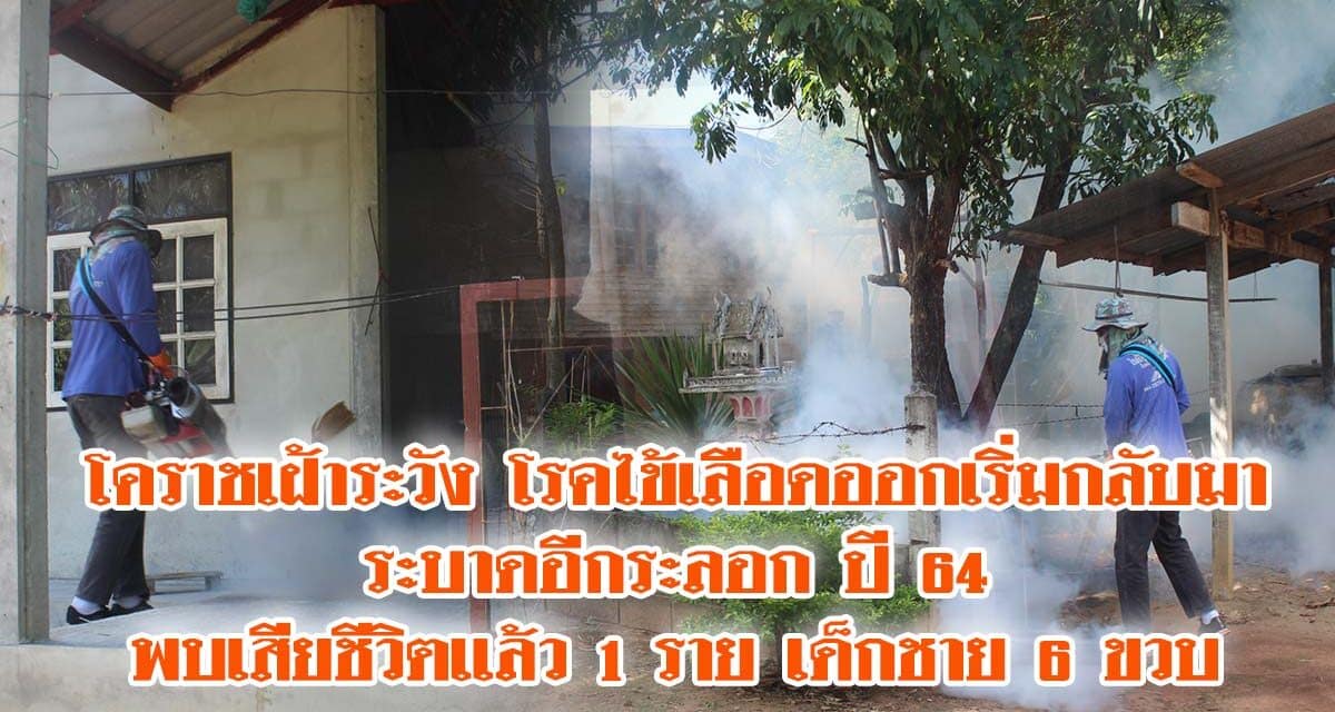 โคราชเฝ้าระวัง โรคไข้เลือดออกเริ่มกลับมาระบาดอีกระลอก ปี 64 พบเสียชีวิตเเล้ว 1 ราย เด็กชาย 6 ขวบ