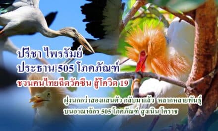 ปรีชา ไพรรัมย์ ประธาน 505 โภคภัณฑ์  ชวนคนไทยฉีดวัคซีน สู้โควิด 19 ฝูงนกกว่าสองแสนตัว  บนอาณาจักร 505 โภคภัณฑ์ สูงเนิน โคราช