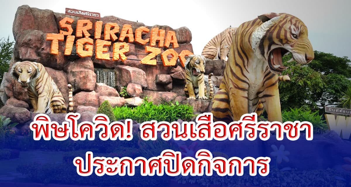 พิษโควิด! สวนเสือศรีราชา ประกาศปิดกิจการ ปิดตำนาน 24 ปี