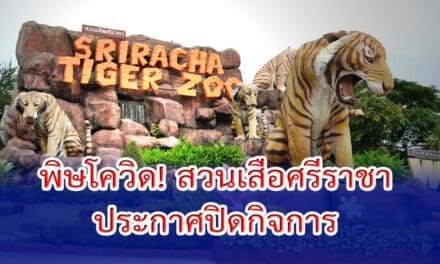 พิษโควิด! สวนเสือศรีราชา ประกาศปิดกิจการ ปิดตำนาน 24 ปี