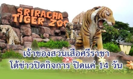 เจ้าของ’สวนเสือศรีราชา’โต้ปิดกิจการ แค่หยุด14วันหนีโควิด