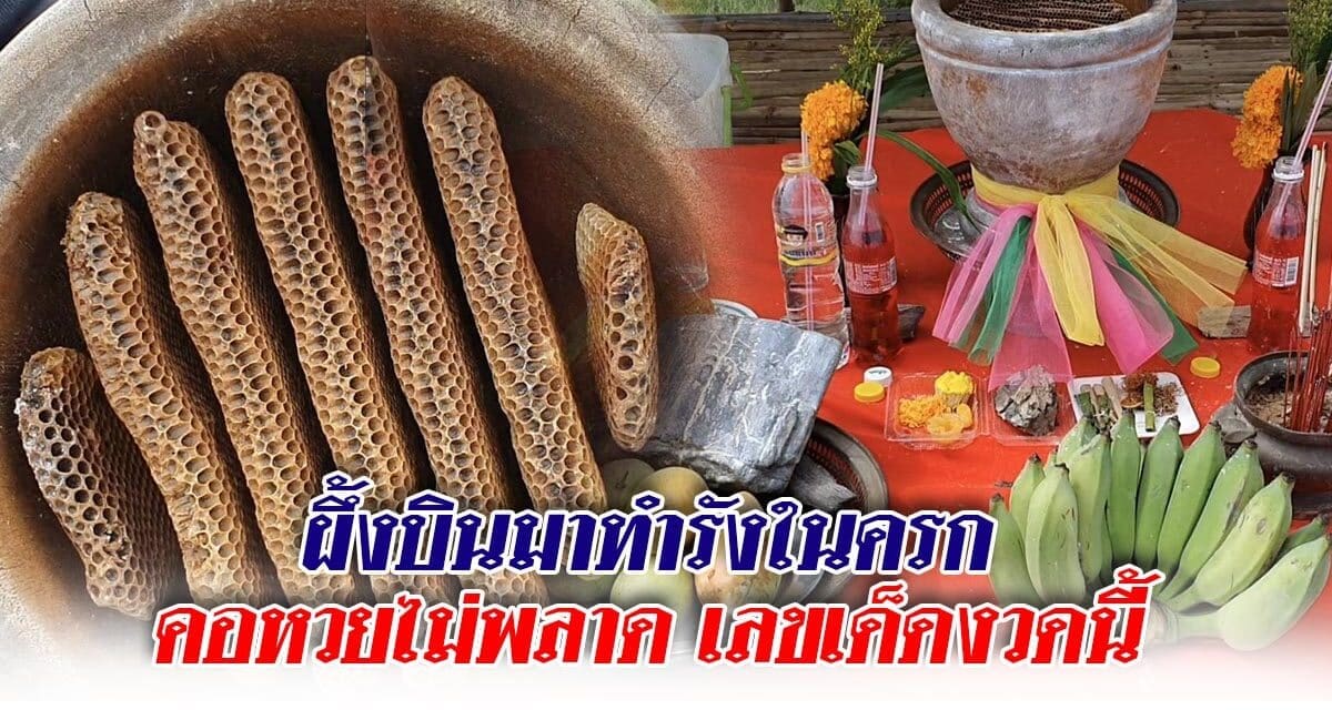 ผึ้งบินมาทำรังในครก คอหวยไม่พลาดขอเลขเด็ดงวดนี้