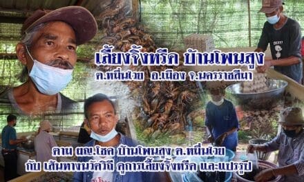 ตาม ผญ.โชค บ้านโพนสูง ต.หมื่นไวย กับ เส้นทางนวัตวิถี ดูการเลี้ยงจิ้งหรีด และแปรรูป