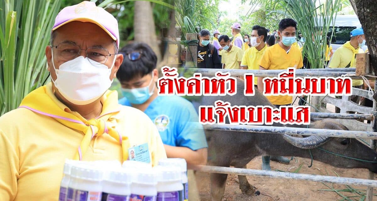 โคราช ตั้งค่าหัว 1 หมื่นบาทแจ้งเบาะแสจับมิจฉาชีพหลอกขายวัคซีนโรคลัมปี สกิน