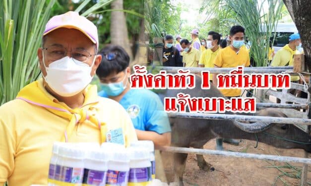 โคราช ตั้งค่าหัว 1 หมื่นบาทแจ้งเบาะแสจับมิจฉาชีพหลอกขายวัคซีนโรคลัมปี สกิน