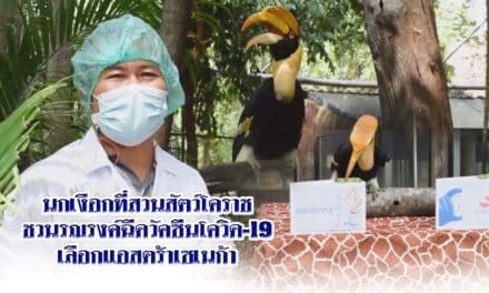 นกเงือกที่สวนสัตว์โคราชชวนรณรงค์ฉีดวัคซีนโควิด-19 เลือกแอสตร้าเซเนก้า