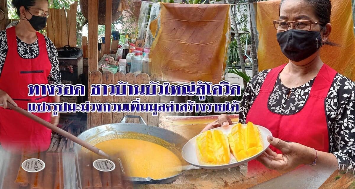 ทางรอด ชาวบ้านบัวใหญ่สู้โควิด แปรรูปมะม่วงกวนเพิ่มมูลค่าสร้างรายได้