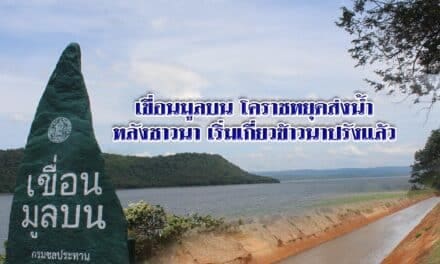 เขื่อนมูลบนโคราชหยุดส่งน้ำหลังชาวนาเริ่มเกี่ยวข้าวนาปรังแล้ว