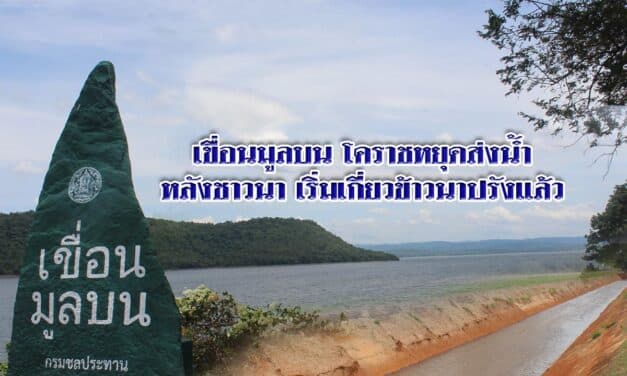 เขื่อนมูลบนโคราชหยุดส่งน้ำหลังชาวนาเริ่มเกี่ยวข้าวนาปรังแล้ว
