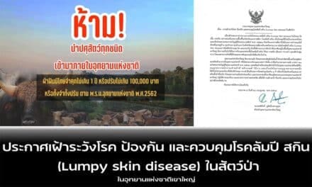 เขาใหญ่ ประกาศห้ามนำสัตว์เลี้ยงเข้าอุทยาน หวั่นลัมปี สกินระบาดสัตว์ป่า