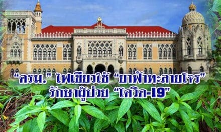 “ครม.”ไฟเขียวใช้”ยาฟ้าทะลายโจร”รักษาผู้ป่วย”โควิด-19”