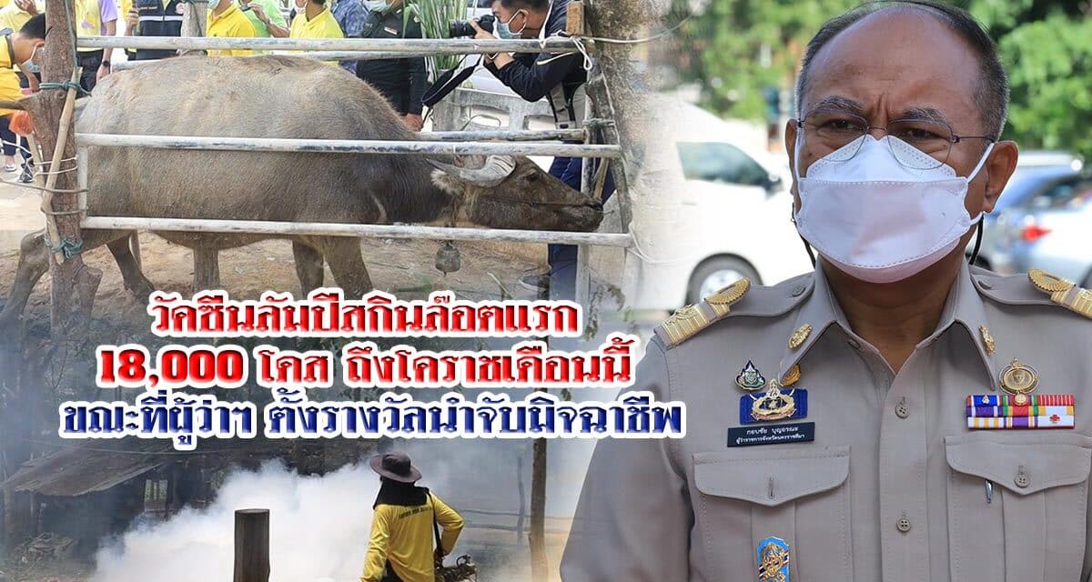 วัคซีนลัมปีสกินล๊อตแรก 18,000 โดส ถึงโคราชเดือนนี้ ผู้ว่าฯ ตั้งรางวัลนำจับหลอกขายวัคซีนปลอมให้เกษตรกรจนเดือดร้อน