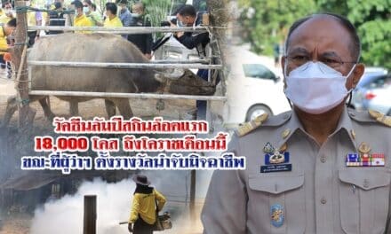 วัคซีนลัมปีสกินล๊อตแรก 18,000 โดส ถึงโคราชเดือนนี้ ผู้ว่าฯ ตั้งรางวัลนำจับหลอกขายวัคซีนปลอมให้เกษตรกรจนเดือดร้อน