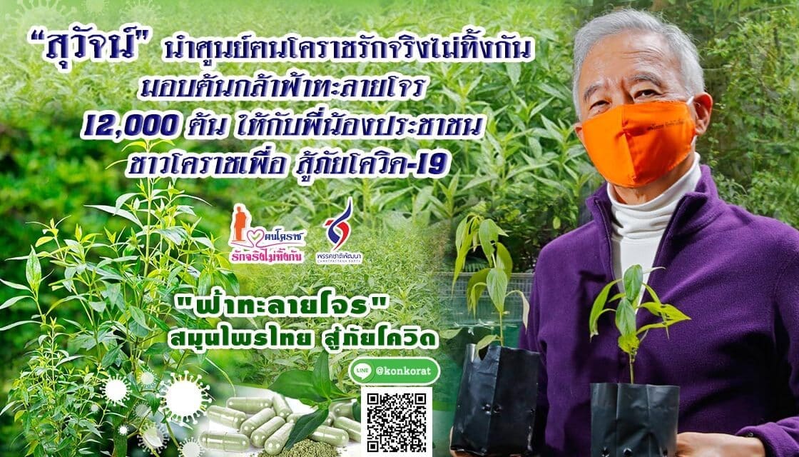 “สุวัจน์” นำ ศูนย์ฅนโคราชรักจริงไม่ทิ้งกัน มอบต้นกล้าฟ้าทะลายโจร 12,000 ต้น ให้กับพี่น้องประชาชน ชาวโคราชเพื่อ สู้ภัยโควิด-19