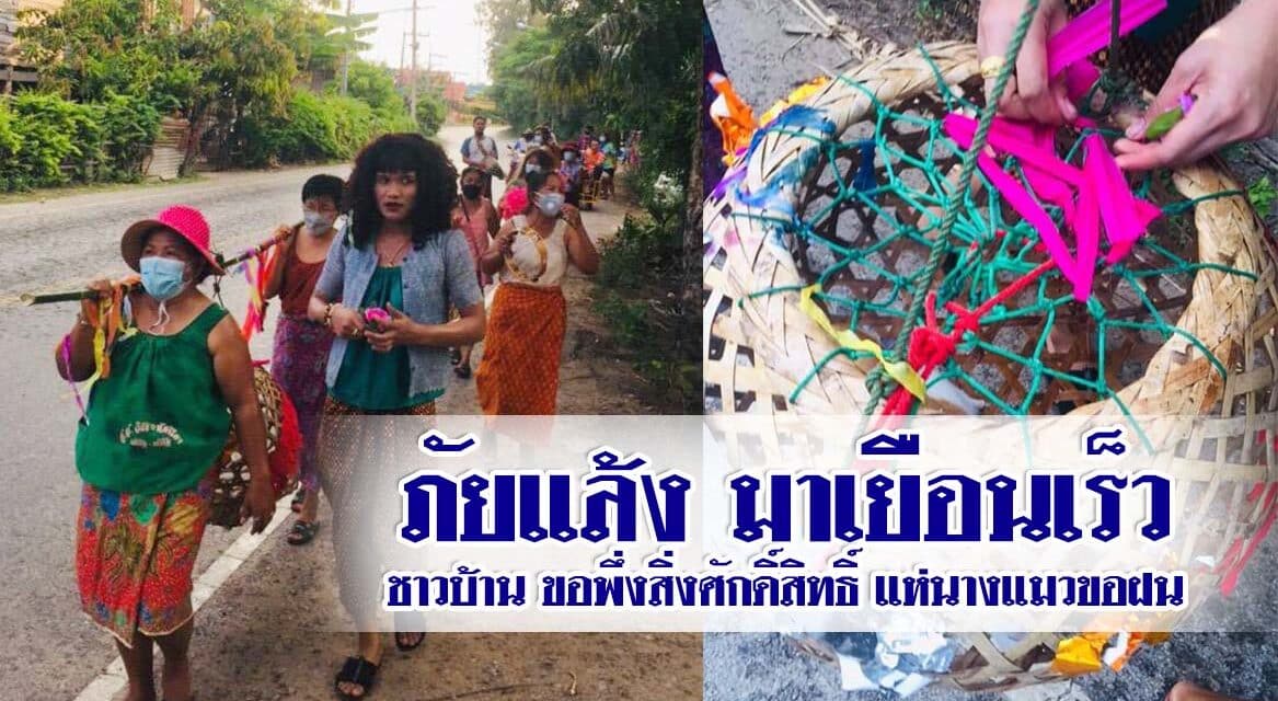 ภัยแล้ง มาเยือนเร็ว ชาวบ้านขอพึ่งสิ่งศักดิ์สิทธิ์ แห่นางแมว ขอฝน