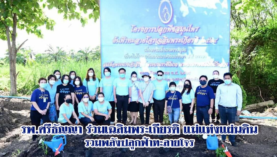 รพ.ศรีธัญญา ร่วมเฉลิมพระเกียรติ แม่แห่งแผ่นดิน  รวมพลังปลูกฟ้าทะลายโจร