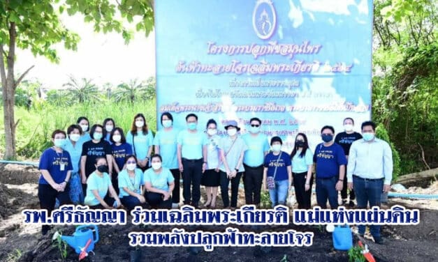 รพ.ศรีธัญญา ร่วมเฉลิมพระเกียรติ แม่แห่งแผ่นดิน  รวมพลังปลูกฟ้าทะลายโจร
