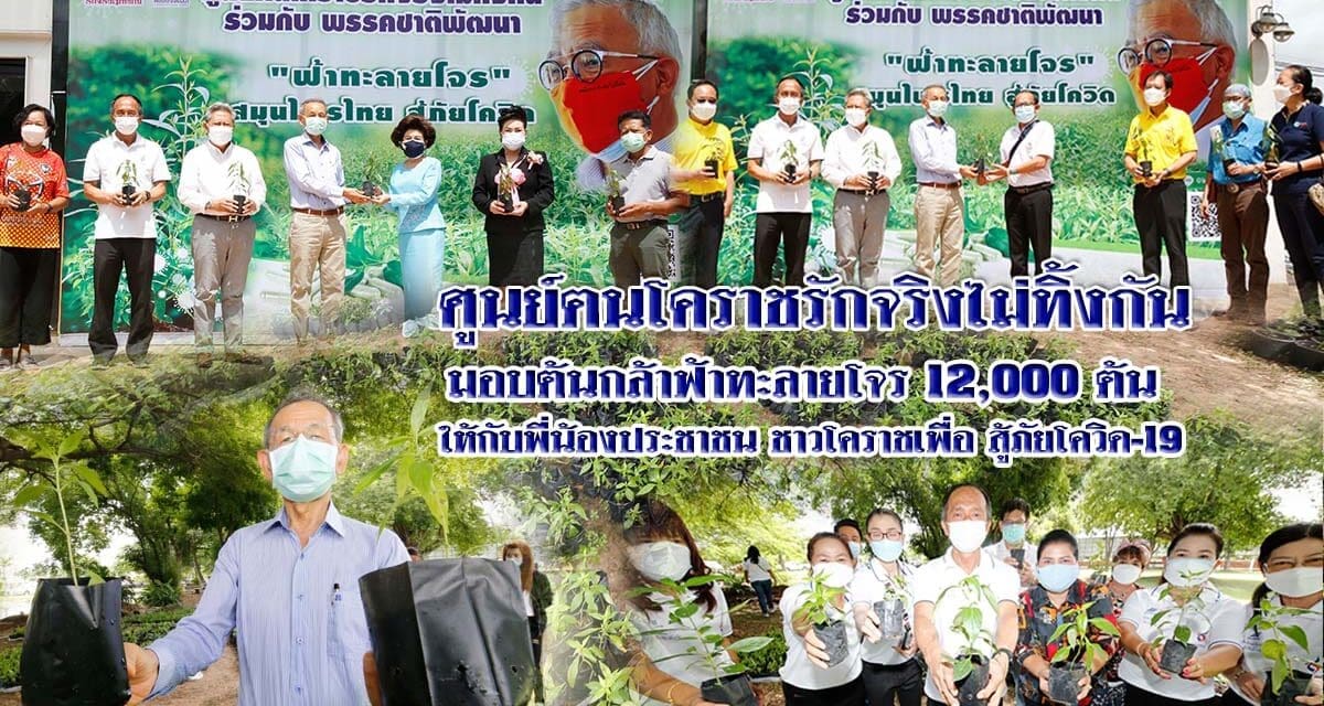 “ศูนย์ฅนโคราชรักจริงไม่ทิ้งกัน” มอบต้นกล้าฟ้าทะลายโจร 12,000 ต้น ให้กับพี่น้องประชาชน ชาวโคราชเพื่อ สู้ภัยโควิด-19