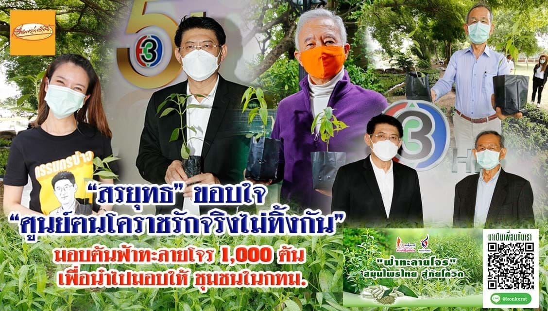 “สรยุทธ สุทัศนะจินดา”ขอบคุณ ศูนย์ฅนโคราชรักจริงไม่ทิ้งกัน มอบต้นกล้าฟ้าทะลายโจร ขยายพันธุ์เป็นพืชสมุนไพร สู้โควิด-19 กระจายสู่ชุมชนทั่วกทม.