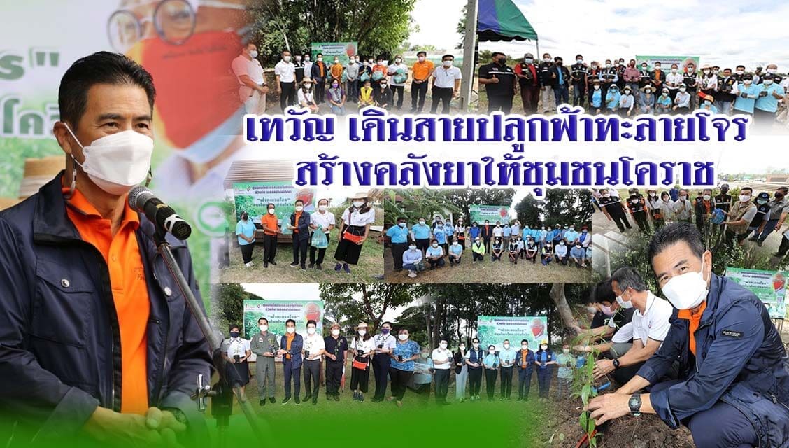 “เทวัญ” ลุยปลูกฟ้าทะลายโจร สร้างคลังยาสมุนไพร ให้ชุมชนทั่วโคราช สู้โควิด-19