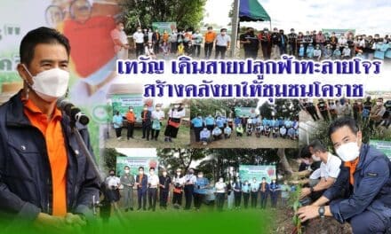 “เทวัญ” ลุยปลูกฟ้าทะลายโจร สร้างคลังยาสมุนไพร ให้ชุมชนทั่วโคราช สู้โควิด-19