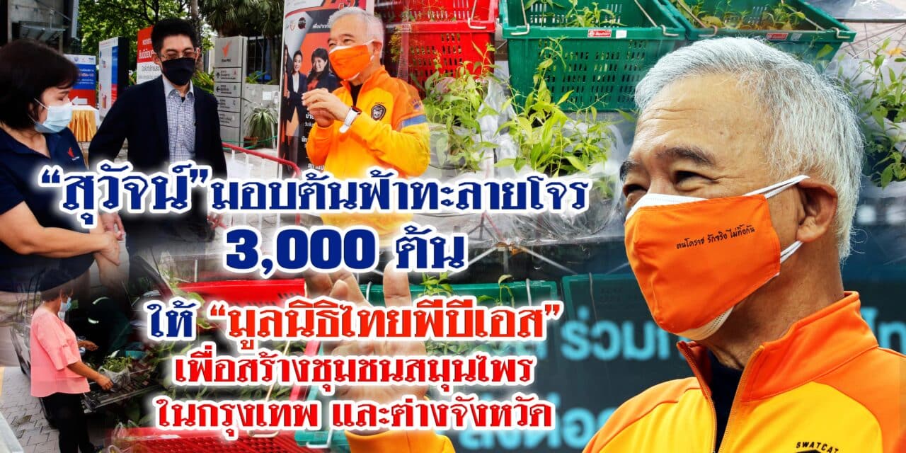 “สุวัจน์” มอบต้นฟ้าทะลายโจร 3,000 ต้น ให้ มูลนิธิไทยพีบีเอส เพื่อสร้างชุมชนสมุนไพรสู้โควิด