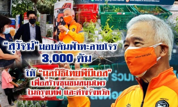 “สุวัจน์” มอบต้นฟ้าทะลายโจร 3,000 ต้น ให้ มูลนิธิไทยพีบีเอส เพื่อสร้างชุมชนสมุนไพรสู้โควิด