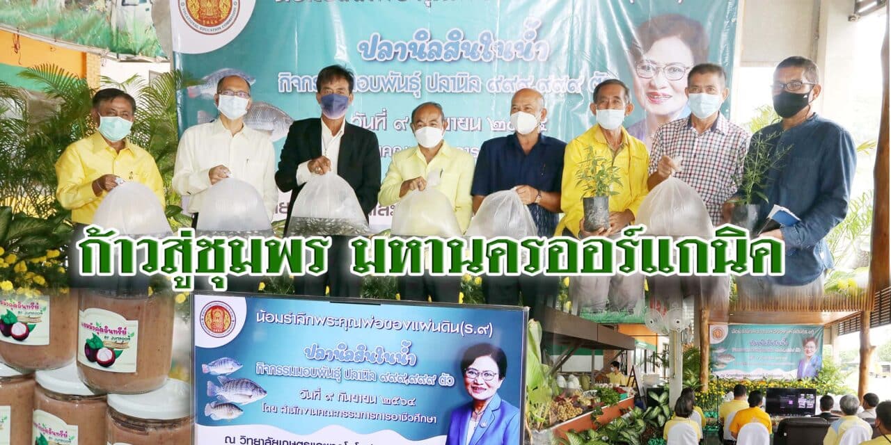 ก้าวสู่ ชุมพร มหานครออร์แกนิค