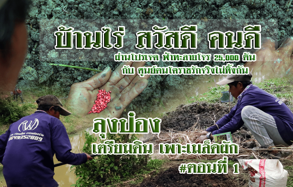 บ้านไร่ สวัสดี คนดี  ผ่านโปรเจค  ฟ้าทะลายโจร 25,000 ต้น กับ ศูนย์ฅนโคราชรักจริงไม่ทิ้งกัน