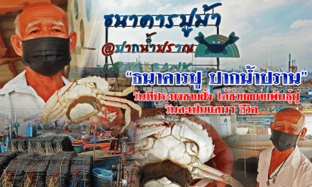 “ธนาคารปู ปากน้ำปราน” วันที่ประมงชายฝั่ง ได้ช่วยขยายพันธุ์ปู วันละเป็นแสนๆ ชีวิต