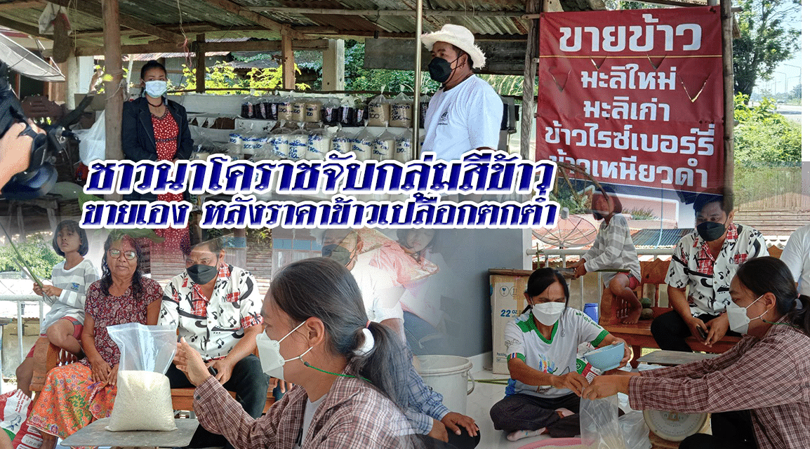 ชาวนาโคราช จับกลุ่มสีข้าว ขายเอง หลังราคาข้าวเปลือกตกต่ำ