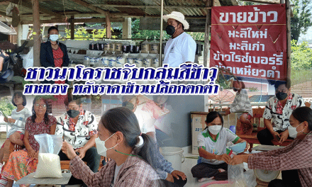 ชาวนาโคราช จับกลุ่มสีข้าว ขายเอง หลังราคาข้าวเปลือกตกต่ำ