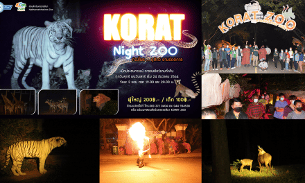 สวนสัตว์นครราชสีมา เปิดมิติใหม่แห่งการเที่ยวชม ท่องไพร Night Zoo ดูสัตว์ยามรัตติกาล