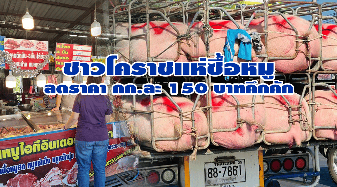 ชาวโคราชแห่ซื้อหมูลดราคา คึกคัก หนุนพาณิชย์จัดโปรโมชั่น ต่ออีกจนถึงหลังตรุษจีน