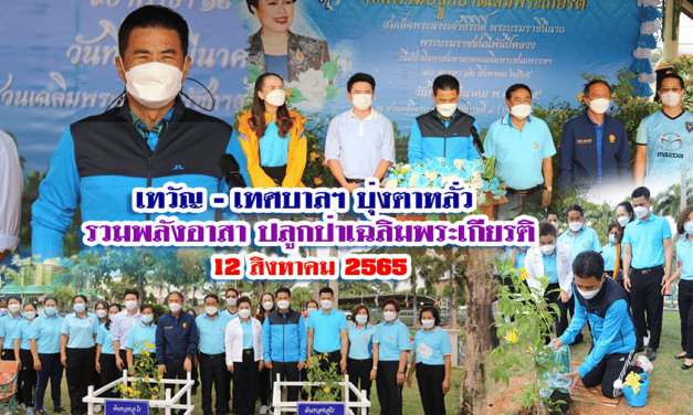 เทวัญ – เทศบาลฯ บุ่งตาหลั่ว รวมพลังอาสา ปลูกป่าเฉลิมพระเกียรติ 12 สิงหาคม 2565
