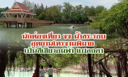 นักท่องเที่ยว งง น้ำสระรอบอุทยานไทรงามพิมาย เป็นสีเขียวอมฟ้า แปลกตา