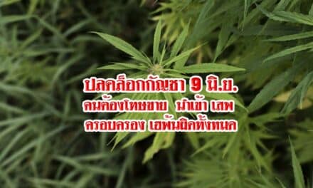 ปลดล็อกกัญชา 9 มิ.ย. คนต้องโทษขาย นำเข้า เสพ ครอบครอง เฮพ้นผิดทั้งหมด