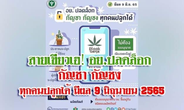 สายเขียวเฮ‼️ อย.ปลดล็อก กัญชา กัญชง ทุกคนปลูกได้ มีผล 9 มิถุนายน 2565