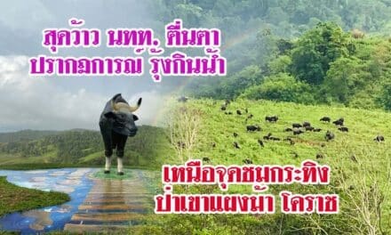 สุดว้าว นทท ตื่นตาปรากฏการณ์รุ้งกินน้ำ เหนือจุดชมกระทิงป่าเขาแผงม้า โคราช