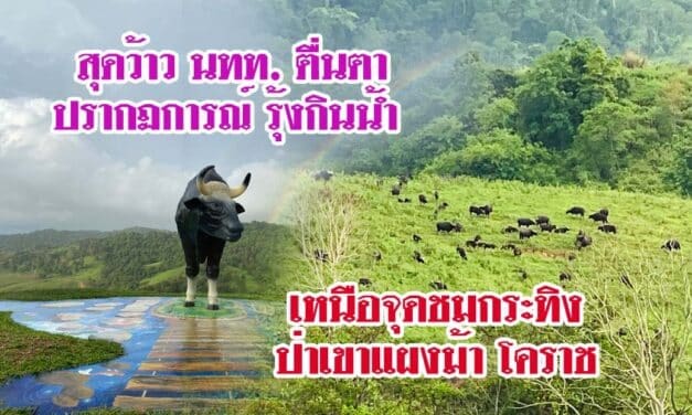 สุดว้าว นทท ตื่นตาปรากฏการณ์รุ้งกินน้ำ เหนือจุดชมกระทิงป่าเขาแผงม้า โคราช