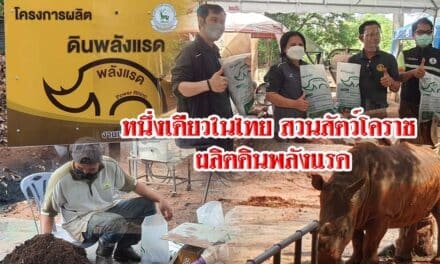 หนึ่งเดียวในไทย สวนสัตว์โคราช ผลิตดินพลังแรดออเดอร์พุ่งผลิต1.5ตันต่อวัน